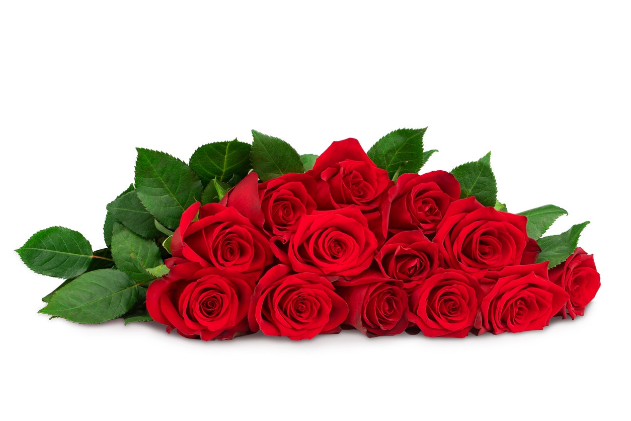 薔薇(バラ)12本の意味・花言葉は？プロポーズ向けの花色やNGな本数も解説