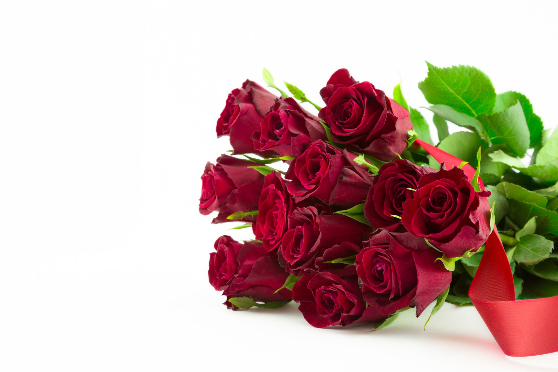 薔薇(バラ)12本の意味・花言葉は？プロポーズ向けの花色やNGな本数も解説